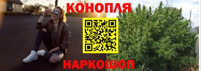 индика Тулун