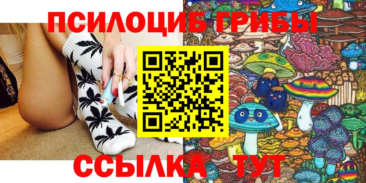 Псилоцибиновые грибы прущие грибы  Псилоцибиновые грибы GOLDEN TEACHER  Мичуринск  Вход с VPN 